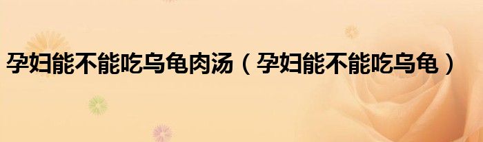 孕妇能吃乌龟母鸡汤吗（孕妇能不能吃乌龟）