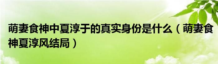 萌妻食神夏淳于配音（萌妻食神夏淳于什么时候知道裕王是坏人）
