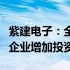 紫建电子：全资子公司广东维都利对境外下属企业增加投资
