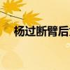 杨过断臂后为什么突飞猛进（杨过断臂）