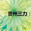 贵州三力：控股股东提前终止减持计划