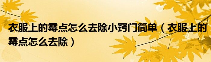 衣服上的霉点怎样去除小窍门（衣服上的霉点怎么去除小窍门视频）