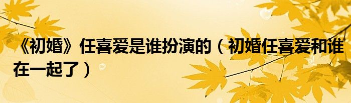初婚电视剧任喜爱和陈增强（初婚电视剧任喜爱最后和谁在一起了）
