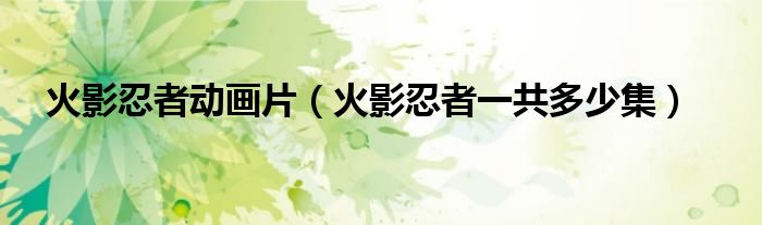 火影忍者动画片一共几集（火影忍者动画片一共多少集）