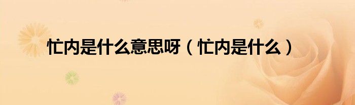 忙内什么意思女团（忙内什么意思中文）