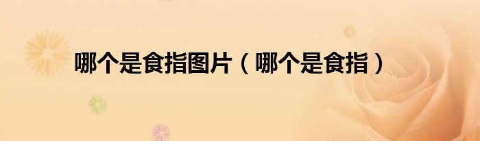 哪一个手指是食指（哪个手指是食指图?）