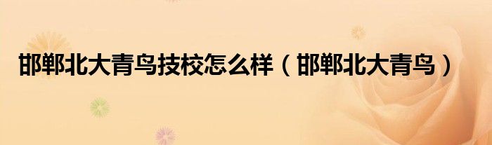 邯郸北大青鸟学校招生简章（邯郸北大青鸟学校）