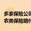 多家保险公司开启理赔绿色通道：优先民生涉农类保险赔付
