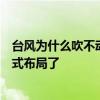 台风为什么吹不动鸭子？网友：我终于知道飞机为什么叫鸭式布局了