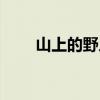 山上的野人参会跑吗（人参会跑吗）
