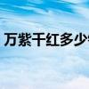 万紫千红多少钱人民币（万紫千红是多少钱）