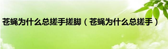 苍蝇停下来时搓手搓脚是在做什么（苍蝇吃了苍蝇药为什么搓脚）