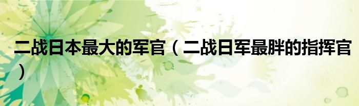 二战中战绩高的日军指挥官（二战日本最高指挥官）
