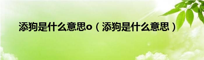 添狗这个词没出来之前这叫做深情（添狗送的什么意思）