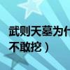 武则天墓为什么不敢挖视频（武则天墓为什么不敢挖）