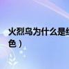 火烈鸟为什么是红色的而不是其他颜色（火烈鸟为什么是红色）
