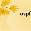 ospf协议配置（ospf协议）