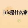 iris是什么意思中文翻译（iris是什么意思）