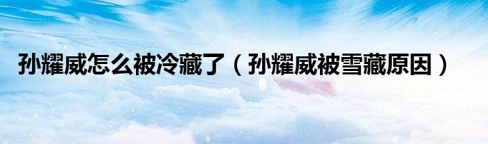孙耀威怎么被冷藏了（孙耀威被雪藏原因）