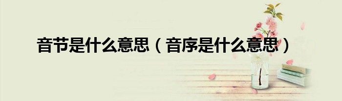 生字的音节是什么意思（音节是什么意思啊?）