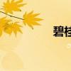 碧桂园开始以房产抵债！