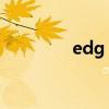 edg 厂长（edg战队厂长）