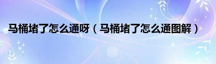 马桶堵了把马桶拆下来（马桶堵了把马桶搬开后容易疏通吗）