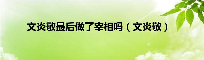 文炎敬最后做了宰相吗（文炎敬）