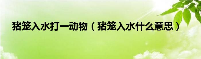 猪笼入水指的是什么生肖（猪笼入水是成语吗）