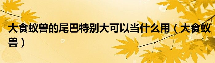 大食蚁兽的图片（大食蚁兽的爪子有多厉害）