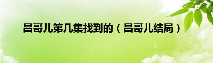 昌哥儿什么时候找到的（昌哥儿是什么电视剧）