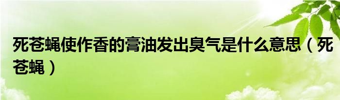 死苍蝇有毒吗（死苍蝇能吃吗）