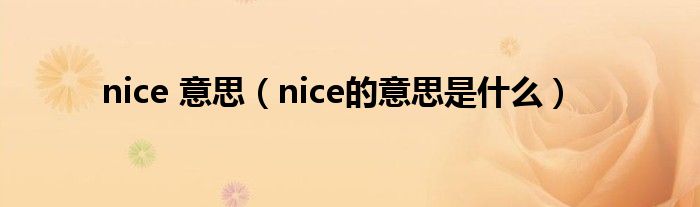 nice的意思是好的吗（you are nice什么意思）