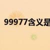 99977含义是什么?（99977代表哪五个字）