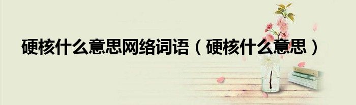 硬核是什么意思解释（硬核是什么词）