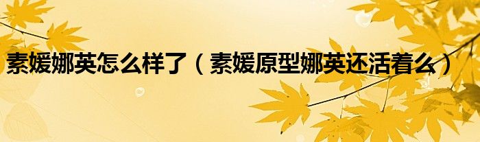 素媛原型娜英真实事件（素媛娜英现状）