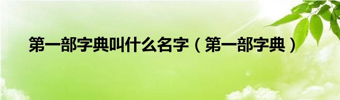 中国第一部字典是什么名字（第一部字典和第一部词典）