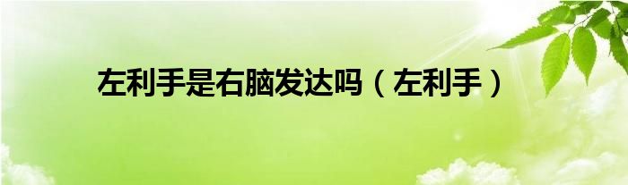 左利手和右利手是天生的吗（左利手的人更善于使用左脑吗）