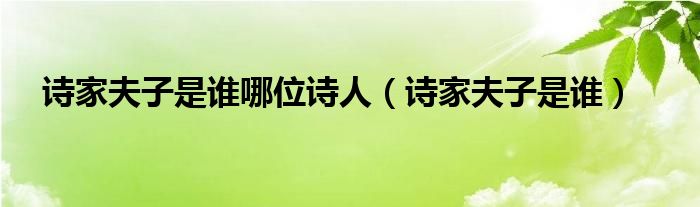 被称为诗家夫子的诗（有诗家夫子之美誉的盛唐诗人是）