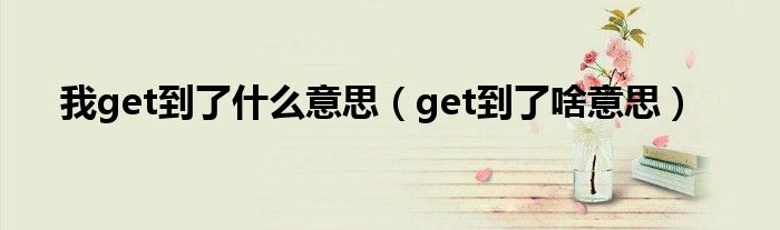 我get到了是什么梗（我get到了英语怎么说）