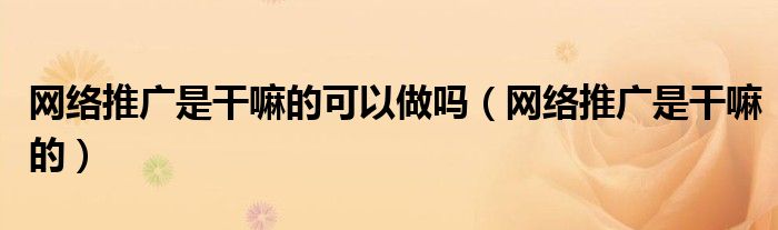 网络推广有什么（网络推广有没有用）