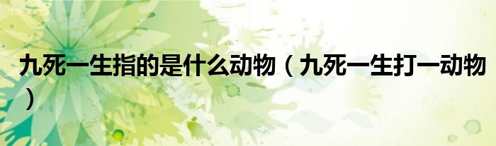 九死一生是啥动物（九死一生猜一种动物）