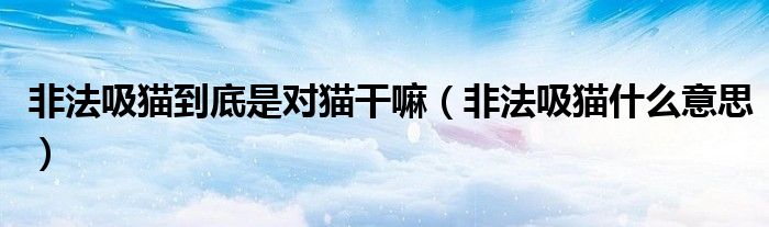 非法吸金罪量刑标准（非法吸猫为什么违法）