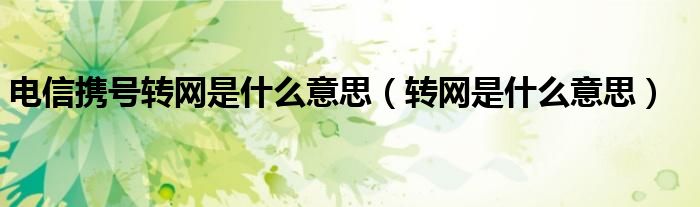 电信携号转网是什么意思（携号转网电信2024最划算套餐）