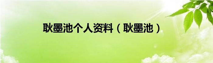 耿墨池有多少钱（耿墨池是什么小说）