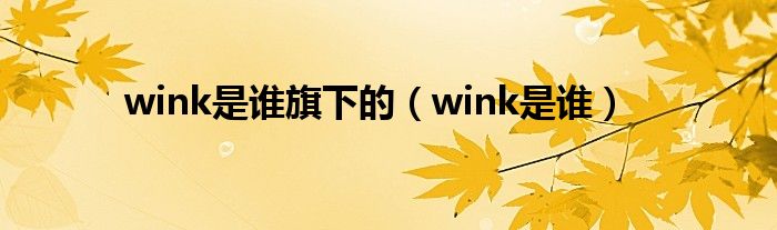 wink之前是哪个战队的（wink是啥）