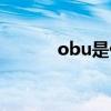 obu是什么部门（obu是什么）