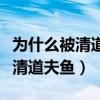 为什么被清道夫清理过的鱼会死（为什么要杀清道夫鱼）