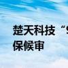 楚天科技“90后”高管雷雨辞职，近日被取保候审