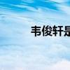 韦俊轩是真爱汪紫棋吗（韦俊轩）